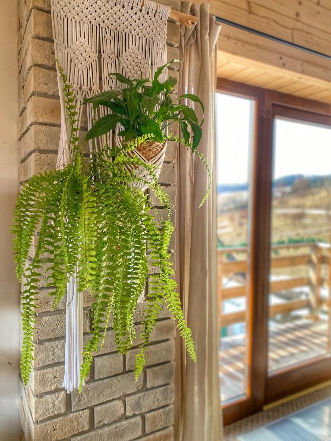 Dziejba Lesna Apartamenty &Spa - Piekne I Nowe Apartamenty I Domek, Sauna I Jacuzzi - W Cenie I Na Wylacznosc, 1 Km Od Stoku Jaworki Exterior foto