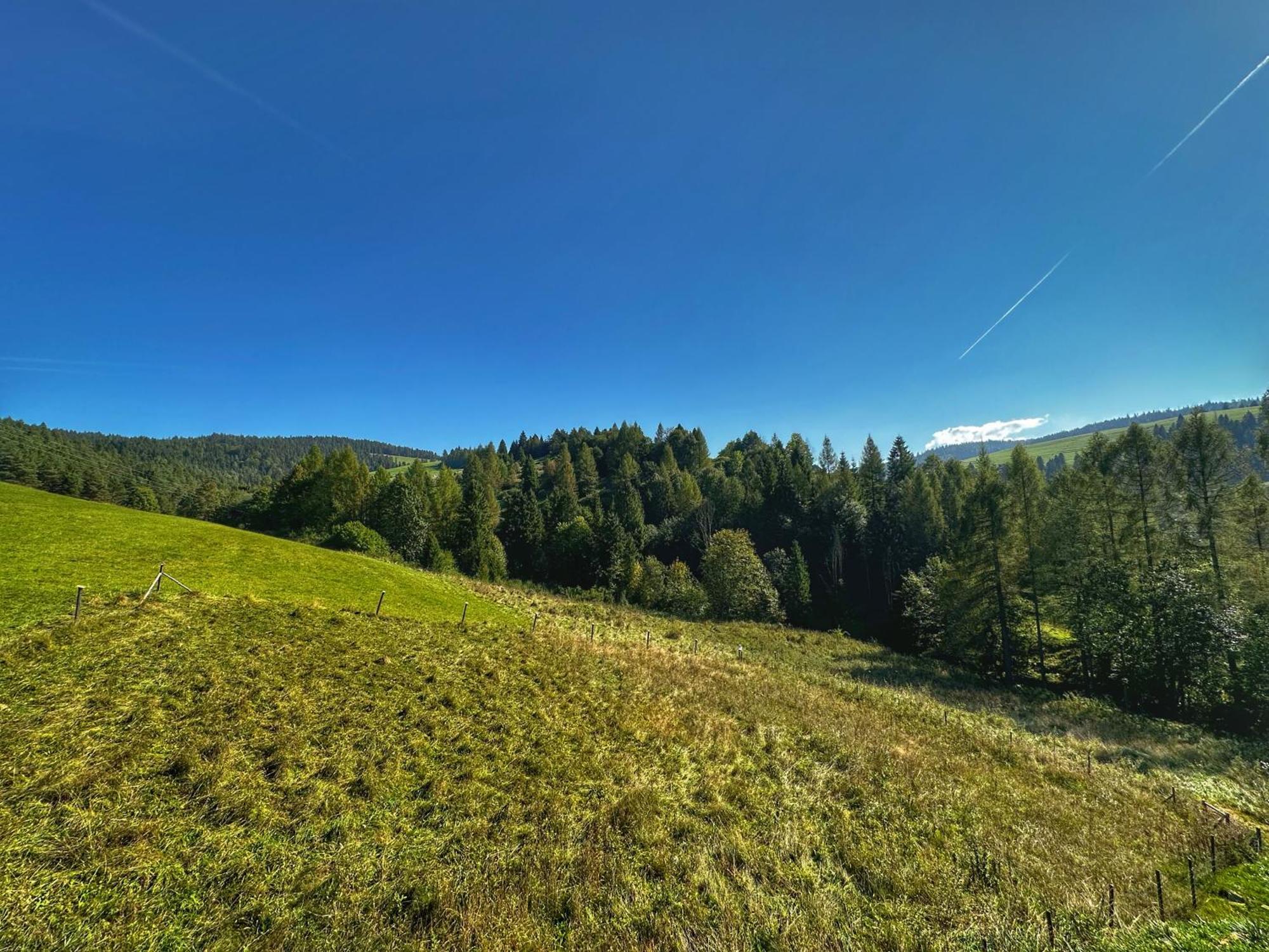 Dziejba Lesna Apartamenty &Spa - Piekne I Nowe Apartamenty I Domek, Sauna I Jacuzzi - W Cenie I Na Wylacznosc, 1 Km Od Stoku Jaworki Zimmer foto